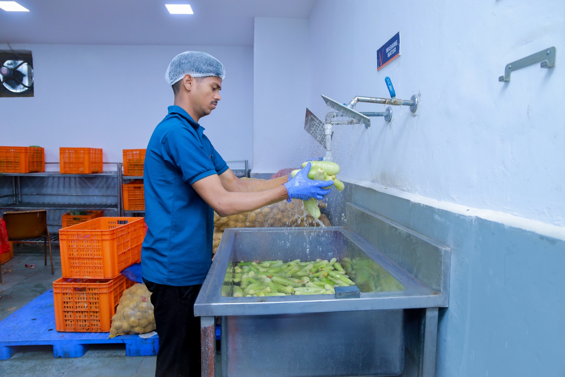 Vegetable washing area